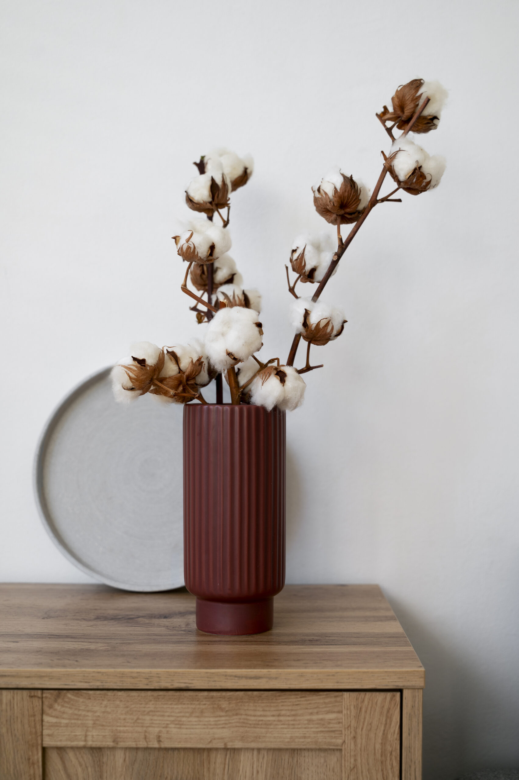 Fluffy Cotton Plant Vase Used Interior Decor 1 Scaled